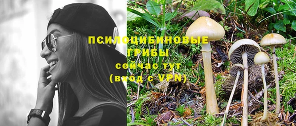 a pvp Дмитров