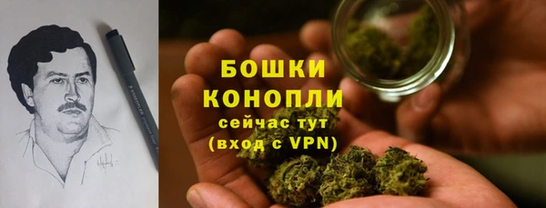 MESCALINE Гусь-Хрустальный