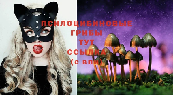 MESCALINE Гусь-Хрустальный