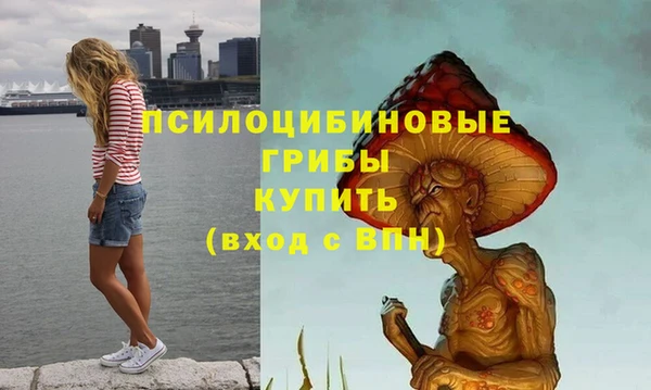 MESCALINE Гусь-Хрустальный