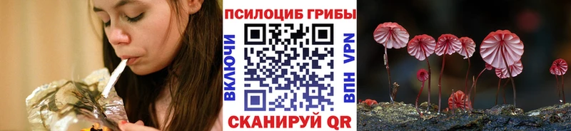 где продают   Дзержинский  Галлюциногенные грибы ЛСД 